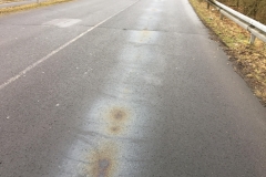 2018_03_28_Ölspur (4)