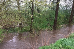 2018_04_13_Hochwasser (10)