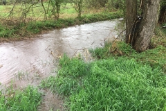 2018_04_13_Hochwasser (11)