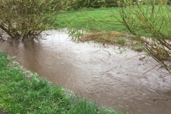 2018_04_13_Hochwasser (12)