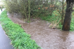 2018_04_13_Hochwasser (2)