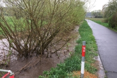 2018_04_13_Hochwasser (3)