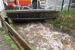 2018_04_13_Hochwasser (4)