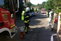 180527_Kleinfeuer_1