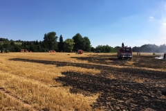 2018_06_30_LGS_Flächenbrand (6)