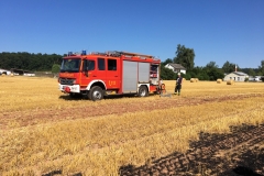 2018_06_30_LGS_Flächenbrand (7)