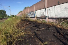 2018_07_18_Bahndamm_2_Bachgrabenweg (1)c