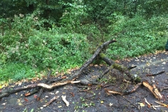 2018_08_10_Unwetter (4)
