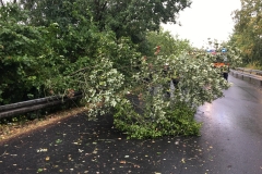 2018_08_10_Unwetter (2)