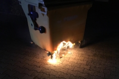2018_08_05_Müllcontainer (2)