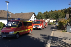 2018_10_15_Kleinfeuer (2)