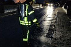 2018_12_22_Ölspur (5)