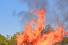 2019_04_20_Osterfeuer_Flammen-9