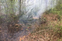 2019_04_13_Waldbrand-2