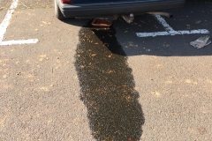 2019_06_26_Ölauslauf-1