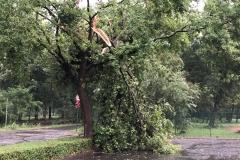 2019_08_19_Unwetter-1