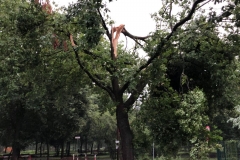 2019_08_19_Unwetter-2
