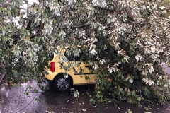 2019_08_19_Unwetter-4