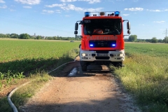 2020_06_01_Boeschungsbrand_Presse-10