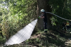 2020_06_01_Boeschungsbrand_Presse-4