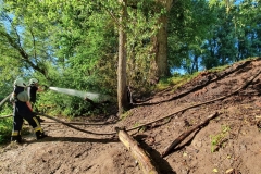 2020_06_01_Boeschungsbrand_Presse-8