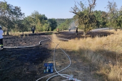 2020_08_07_Feuer-6
