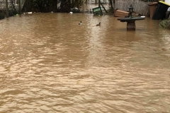 2021_01_30_Hochwasser-8