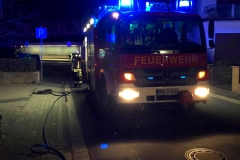 2021_04_06_Kleinfeuer_BSP_HLF_Nacht-3