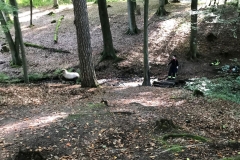 2021_10_10_Tierrettung-10