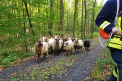 2021_10_10_Tierrettung-2