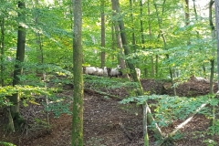 2021_10_10_Tierrettung-3