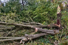2021_10_22_Unwetter-7