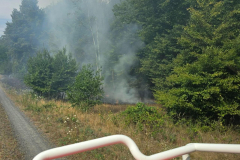 2026_07_26_Waldbrand-2