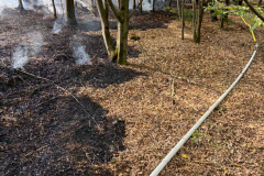 2026_07_26_Waldbrand-5