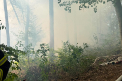 2026_08_10_Waldbrand-4.4