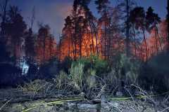 2026_08_10_Waldbrand-4.12