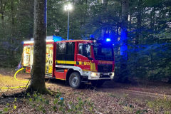 2026_08_10_Waldbrand-13