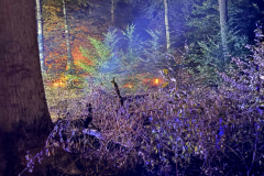 2026_08_10_Waldbrand-14