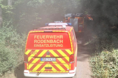 2026_08_10_Waldbrand-24