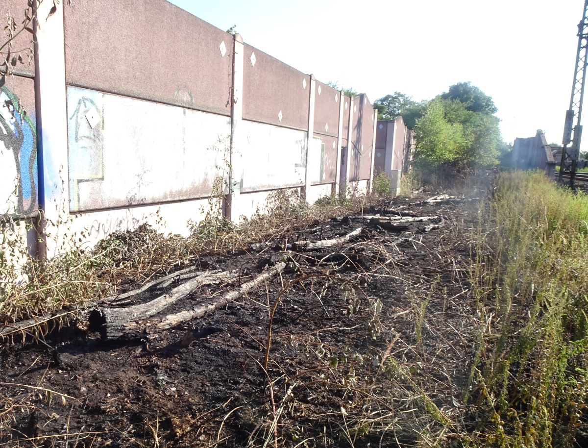 2018_07_18_Bahndamm_2_Bachgrabenweg-3