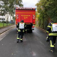 Die Leitung der Feuerwehr wurde über eine Ölspur im Bereich der Gelnhäuser Straß informiert. Nach Absicherung der Einsatzstelle wurde eine Betriebsmittelspur auf einer Länge von ca. ...

Laufende Nummer: 41/2025