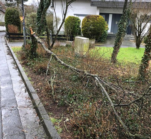 2021_03_13_Sturmschaden_Baum (1)