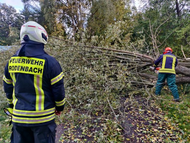 2021_10_22_Unwetter BSP Baum (5)