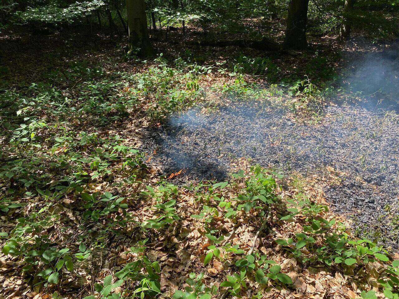 2022-06-19_Waldbrand_1