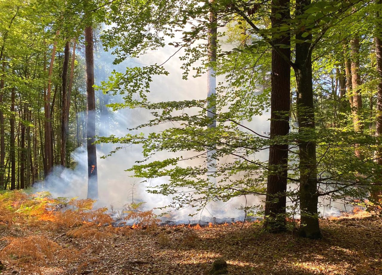 2022_09_05_Waldbrand (1)