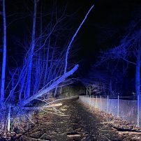 Sturmtief Zoltan hinterließ auch in Rodenbach Schäden und rief die Feuerwehr Rodenbach in vier Fällen auf den Plan. Nachdem gegen 18:30 Uhr zunächst ein umgestürzter Bauzaun in der ...

Laufende Nummern: 107 - 110/2023
