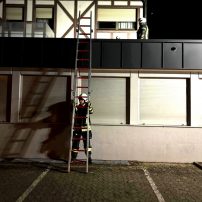 Eine Katze saß auf einem Vordach fest. Diese wurde von den Einsatzkräften über eine Leiter gerettet und an den Besitzer übergeben.

Laufende Nummer: 55/2024