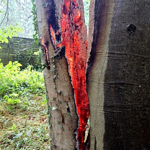 Als Folge des nächtlichen Gewitters wurde die Feuerwehr Rodenbach zu einem brennenden Baum im Wochenendgebiet “Wingerte” alarmiert. Durch Blitzschlag ...

Laufende Nummer: 96/2024