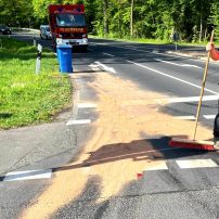 Die Leitung der Feuerwehr wurde zur Erkundung einer Ölspur im Übergang von der L 3268 aus Erlensee kommend zur Hanauer Landstraße alarmiert. Nach Absicherung der Einsatzstelle ...

Laufende Nummer: 39/2025