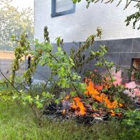 Die Feuerwehr Rodenbach wurde zu einem Kleinfeuer in die Auheimer Straße alarmiert. Vor Ort brannte ein Haufen Unrat direkt an der Fassade eines Hauses. Das Feuer wurde mittels ...

Laufende Nummer: 43/2025
